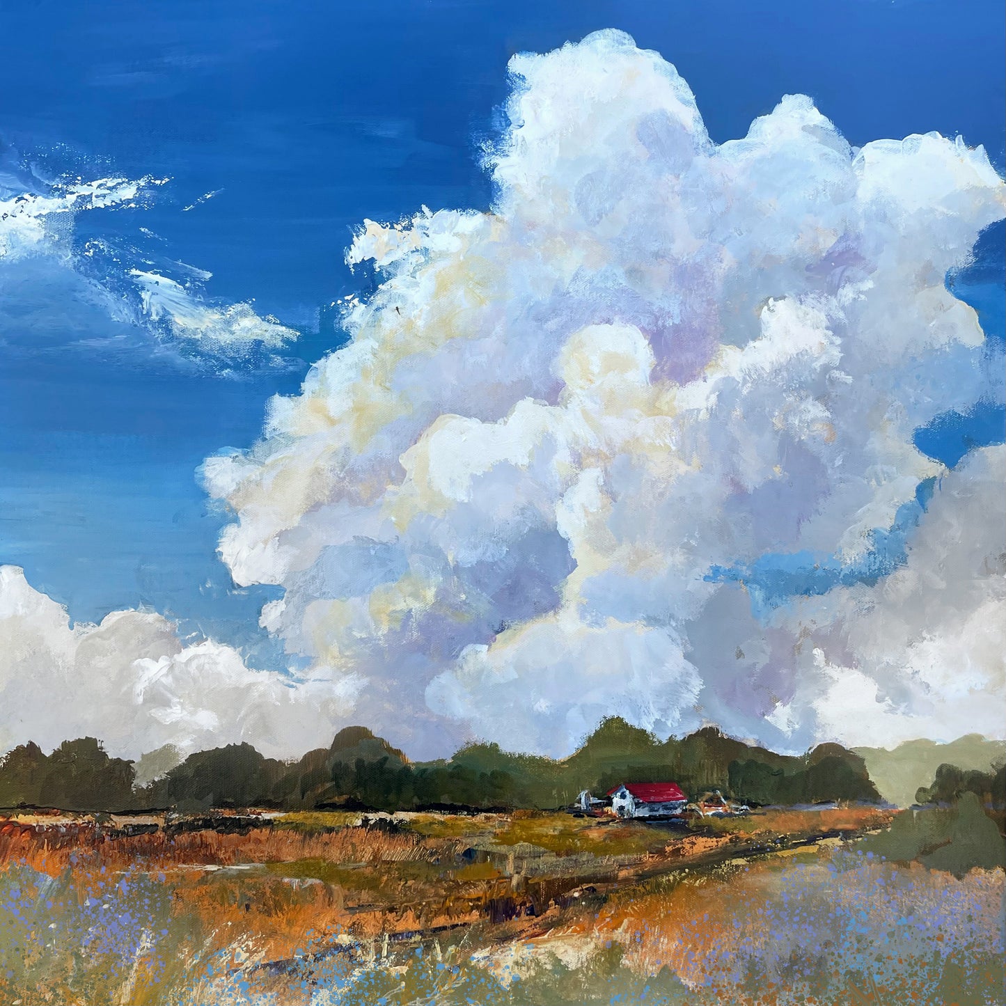 Lavender Field and Sky (117)